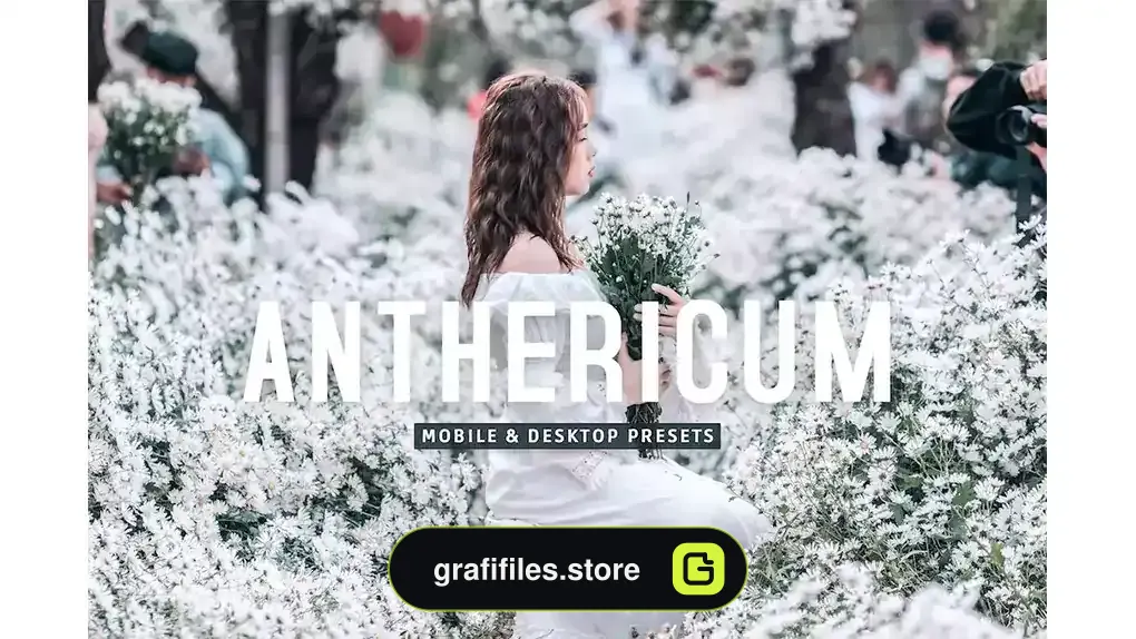 پریست لایت روم به همراه اکشن فتوشاپ Anthericum
