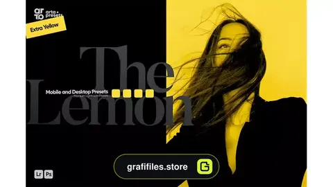 پریست لایت روم تم لیمویی ARTA - The Lemon Presets for Lightroom