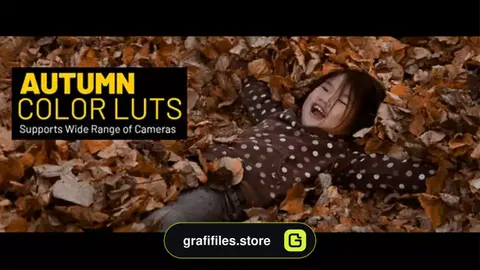 پریست رنگ پاییز Autumn LUTs