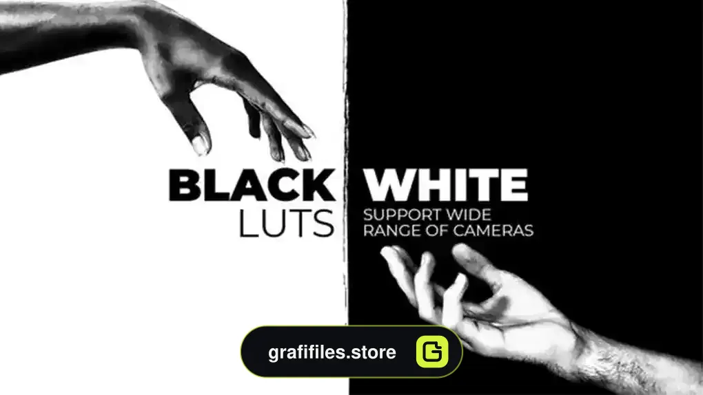 پریست اصلاح رنگ سیاه و سفید Black and White LUTs