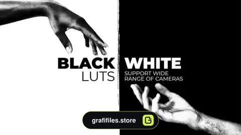 پریست اصلاح رنگ سیاه و سفید Black and White LUTs