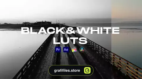پریست رنگ سیاه و سفید Black&White LUTs Color Presets