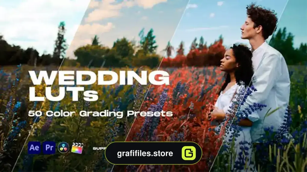 پریست رنگ عروسی Colorify Wedding LUTs