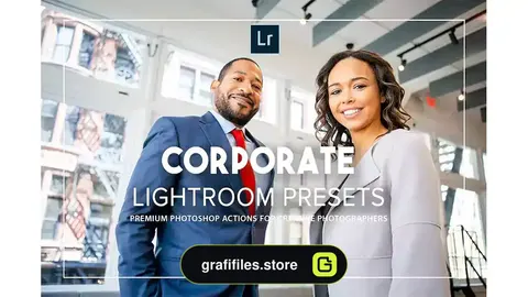 پریست لایت روم شرکتی Corporate Lightroom Presets