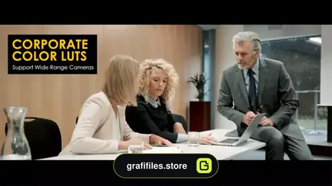 پریست رنگ شرکتی Corporate LUTs