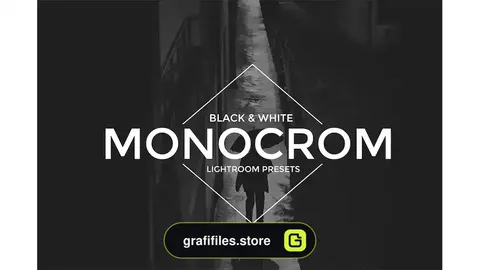 پریست لایت روم مونوکروم Monocrom B/W Lightroom Presets