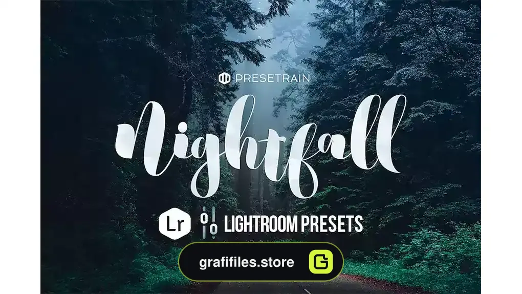پریست لایت روم تاریکی شب Nightfall Dark Lightroom Presets