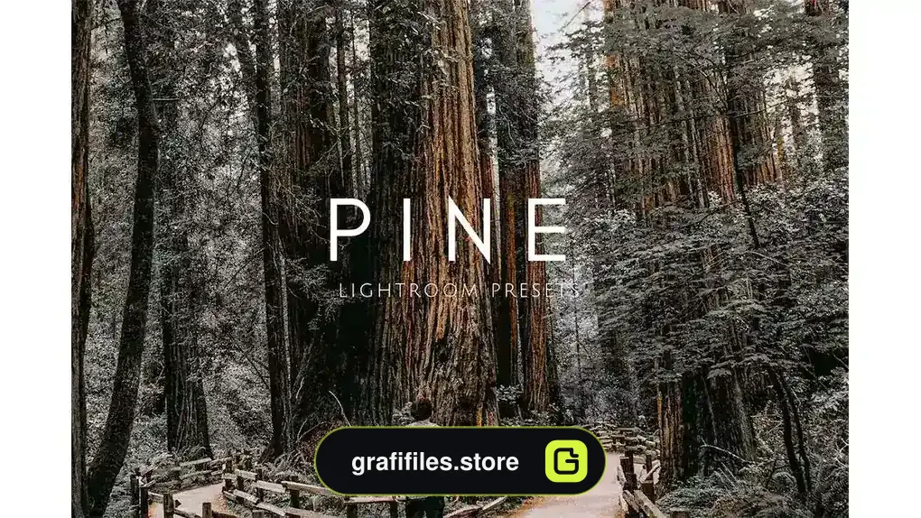 دانلود پریست لایت روم عروسی در فضای باز PINE Warm Moody Outdoor Wedding Lightroom Presets