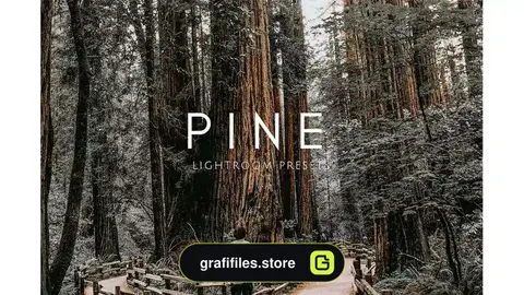 دانلود پریست لایت روم عروسی در فضای باز PINE Warm Moody Outdoor Wedding Lightroom Presets