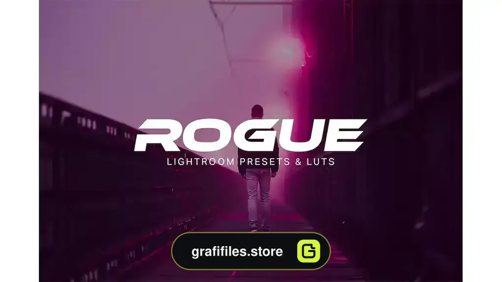 پریست رنگی Rogue - Lightroom Presets and LUTs