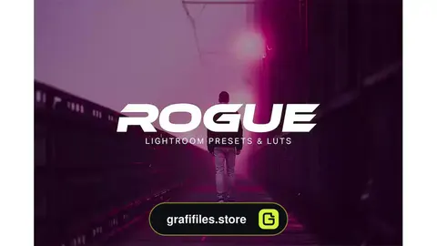 پریست رنگی Rogue - Lightroom Presets and LUTs