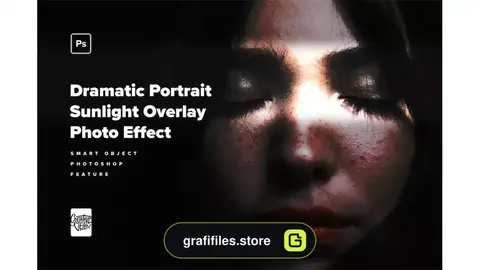 افکت نور خورشید روی عکس و تصاویر Sunlight Overlay Photo Effects