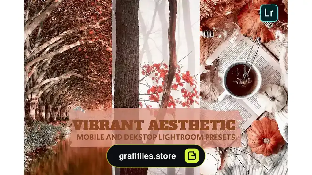 پریست لایت روم Vibrant Aesthetic Lightroom Presets Dekstop Mobile