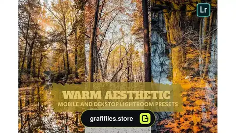 پریست لایت روم Warm Aesthetic Lightroom Presets Dekstop Mobile