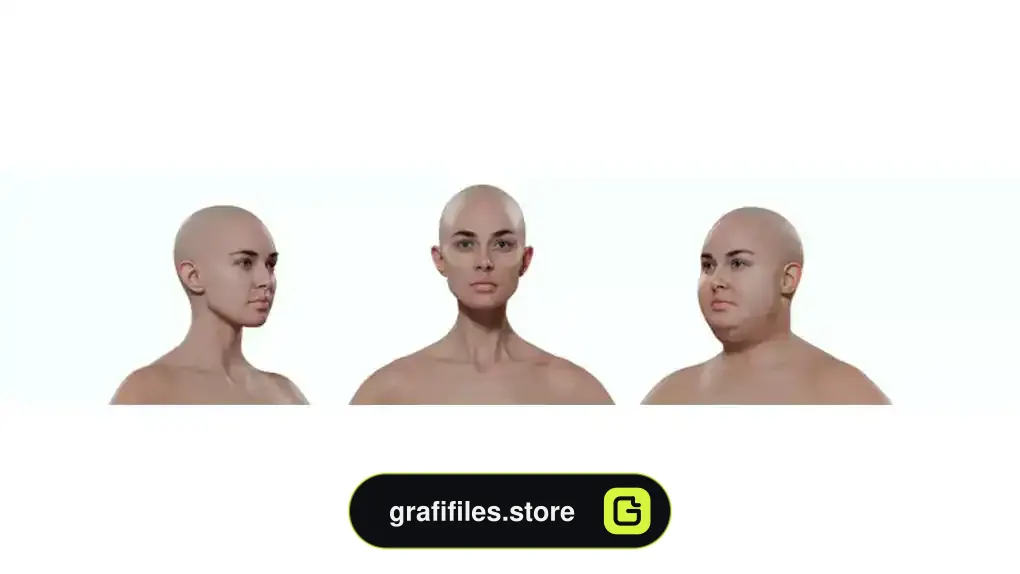 آبجکت مش پایه زن شکل پذیر