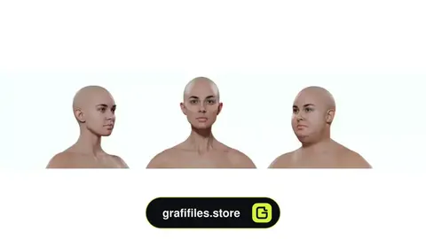 آبجکت مش پایه زن شکل پذیر