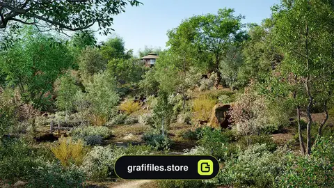 آبجکت گیاهان معتدل