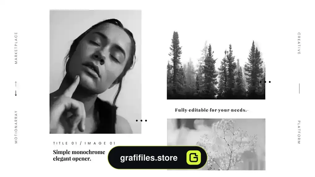 پروژه افترافکت وله مونوکروم Monochrome Elegant Opener