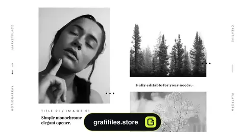 پروژه افترافکت وله مونوکروم Monochrome Elegant Opener