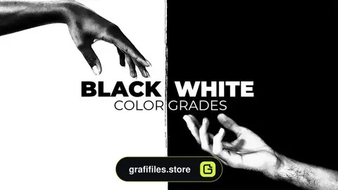 پریست رنگ سیاه و سفید افترافکت Black And White Color Grades