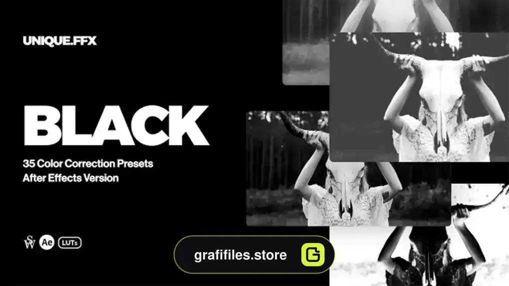 پریست افترافکت رنگ سیاه و سفید Black & White Tones