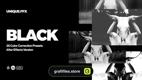 پریست افترافکت رنگ سیاه و سفید Black & White Tones