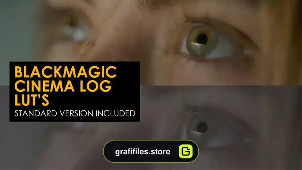 پریست افترافکت رنگ سینمایی جادوی سیاه Blackmagic Cinema Log And Standard Luts
