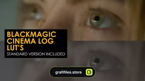 پریست افترافکت رنگ سینمایی جادوی سیاه Blackmagic Cinema Log And Standard Luts
