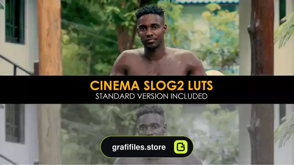 دانلود 22 پریست افترافکت اصلاح رنگ Cinema Slog2 And Standard Luts