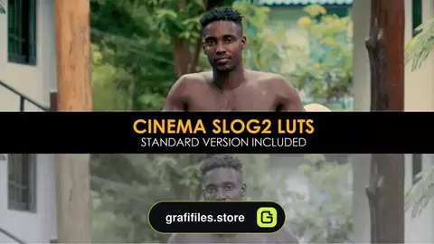 دانلود 22 پریست افترافکت اصلاح رنگ Cinema Slog2 And Standard Luts