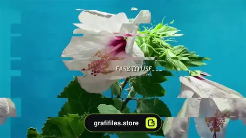 دانلود 19 پریست پریمیر ترانزیشن Modules Transitions