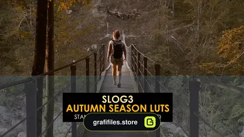 پریست افترافکت رنگ پاییز Slog3 Autumn Season Luts