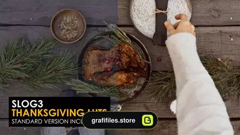 پریست افترافکت روز شکرگزاری Slog3 Thanksgiving And Standard Luts