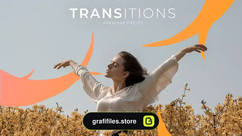 ترانزیشن پریمیر Any Transitions
