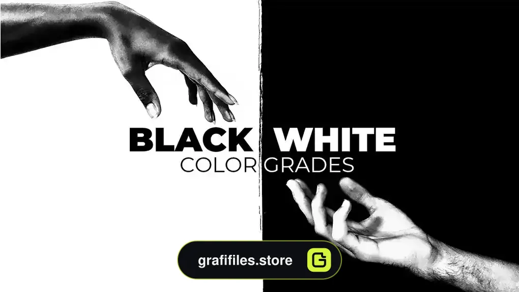 پریست پریمیر اصلاح رنگ سیاه و سفید Black And White Color Grades