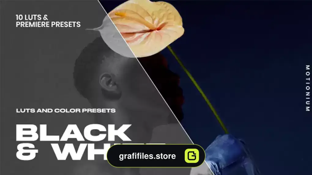 پریست پریمیر اصلاح رنگ سیاه و سفید Black And White LUTS