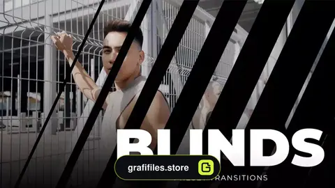 ترانزیشن پریمیر Blinds Transitions