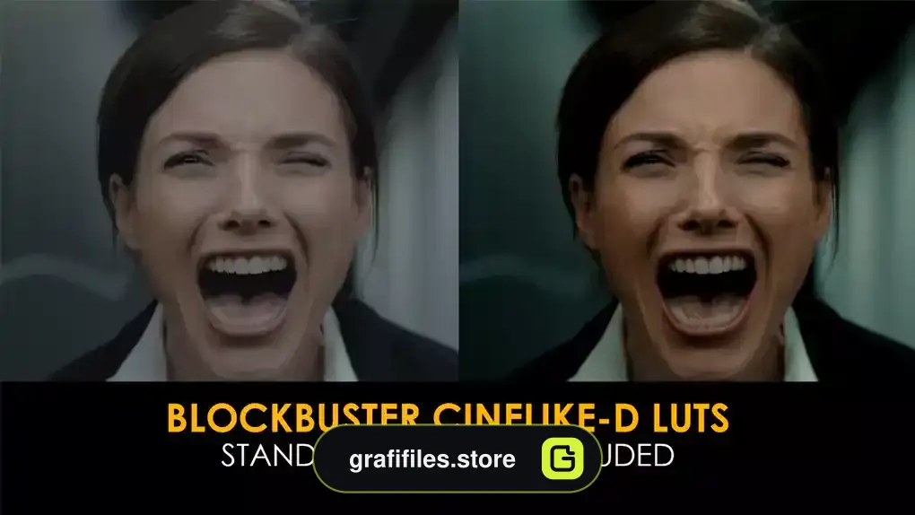 دانلود 20 پریست پریمیر اصلاح رنگ Blockbuster Cinelike-D And Standard Luts
