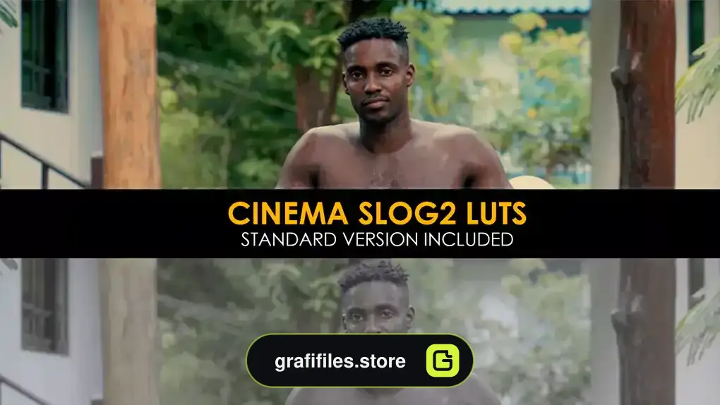 دانلود 22 پریست پریمیر اصلاح رنگ Cinema Slog2 And Standard Luts
