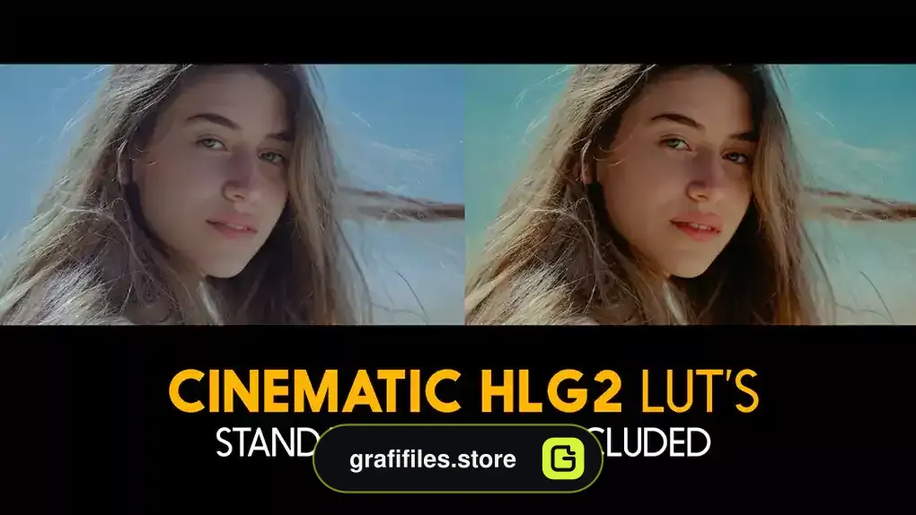 دانلود 21 پریست اصلاح رنگ پریمیر Cinematic HLG2 And Standard Luts