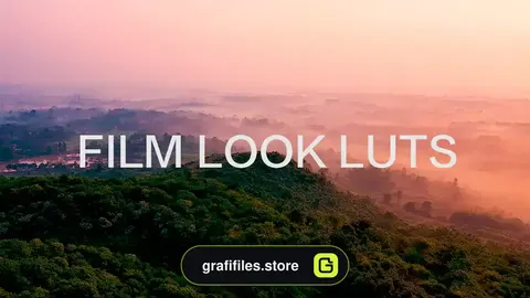 دانلود 10 پریست پریمیر اصلاح رنگ فیلم Film Look LUTs