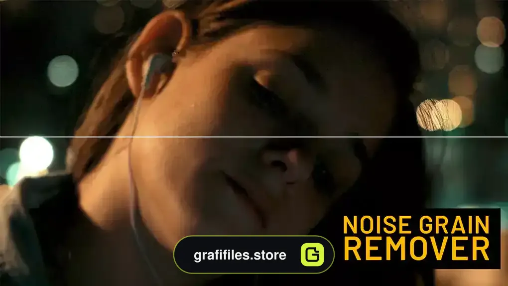 پریست پریمیر 48 افکت حذف نویز Noise Grain Remover