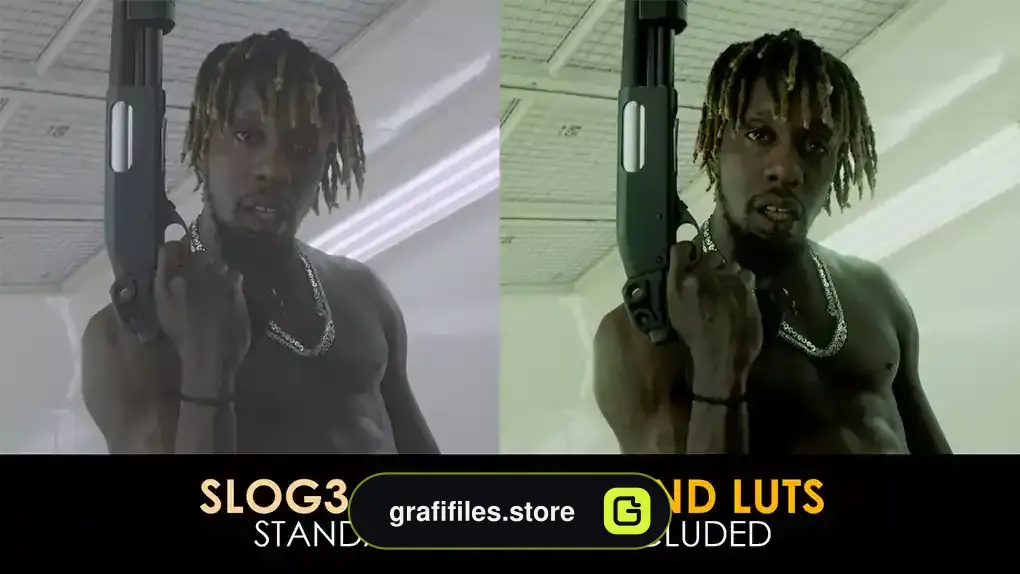 پریست پریمیر رنگ زیرزمینی Slog3 Underground And Standard Luts