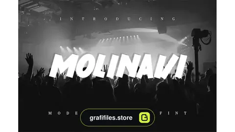 فونت انگلیسی Molinavi