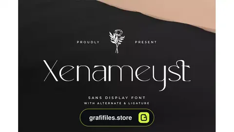 فونت انگلیسی Xenameyst - Sans Display Font