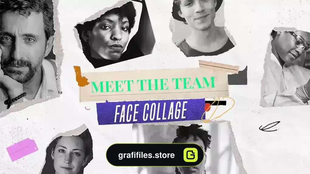 پروژه پریمیر اینترو Meet The Team
