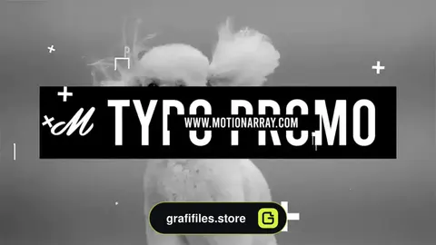 پروژه پریمیر تیزر تبلیغاتی با تایپوگرافی Typo Promo