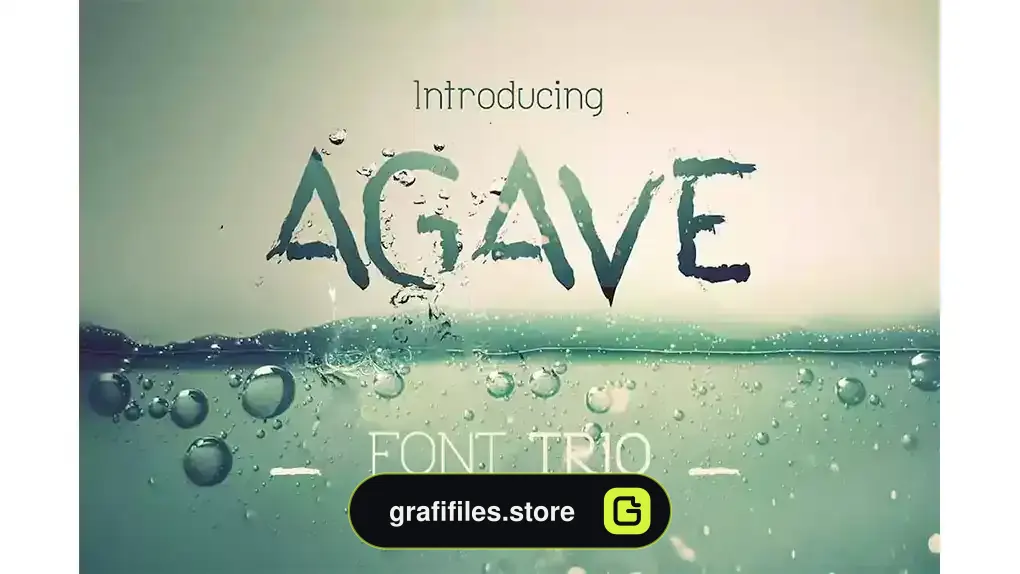 فونت انگلیسی Agave Font Trio