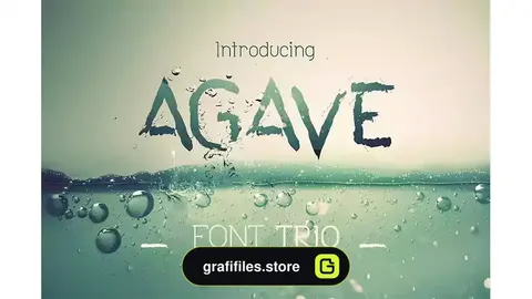 فونت انگلیسی Agave Font Trio