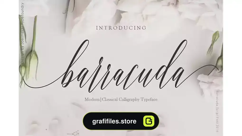 فونت انگلیسی دست نویس Barracuda Script